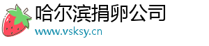 哈尔滨捐卵公司	